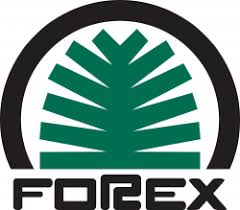 forexsuperpartycammioneurs